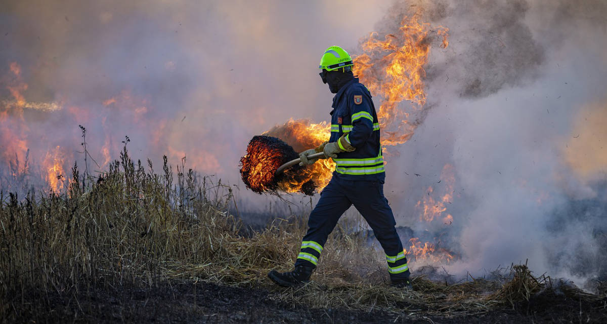 Brand auf einem Feld (Symbolfoto)